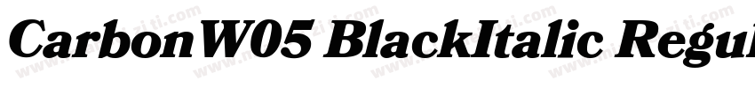 CarbonW05 BlackItalic Regular字体转换